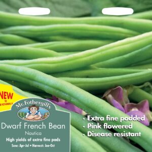 Mr Fothergills Dwarf French Bean Nautica 100 Seeds