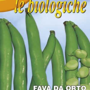 Franchi Organic BIOL61/10 Broad Bean Aguadulce Supersimonia Seeds