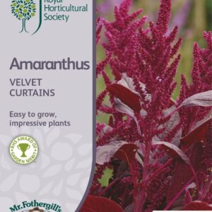 Mr Fothergills RHS Amaranthus Velvet Curtains 1500 Seeds