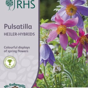 Mr Fothergills - RHS - Flower - Pulsatilla - Heiler-Hybrids - 30 Seeds