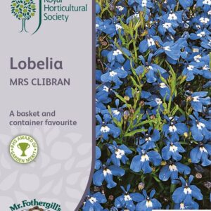 Mr Fothergills RHS Lobelia Mrs Clibran 2500 Seeds