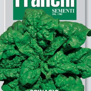 Franchi Seeds of Italy Spinach America Seeds