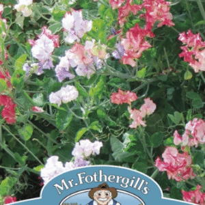 Mr Fothergills Sweet Pea Balcony Mixed 25 Seeds