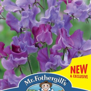 Mr Fothergills - Flower - Sweet Pea - Suffolk Punch - 20 Seeds
