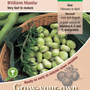 Kings Seeds Broad Bean Witkiem Manita 50 Seeds