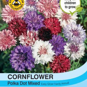 Thompson & Morgan Cornflower Polka Dot Mixed 500 Seed