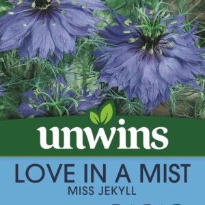 Unwins Nigella Love In A Mist Miss Jekyll 650 Seeds