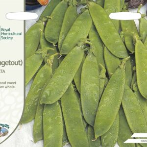 Mr Fothergills RHS Pea (Mangetout) Delikata 150 Seeds