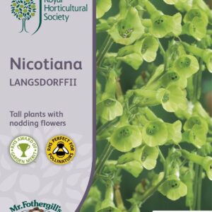 Mr Fothergills RHS Nicotiana Langsdorffii 750 Seeds