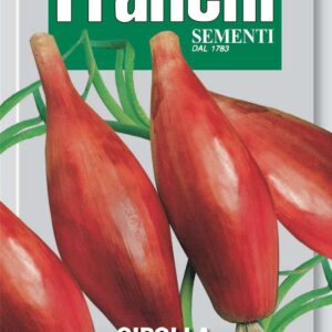 Franchi Seeds of Italy Onion Rossa Lunga Di Firenze Seeds