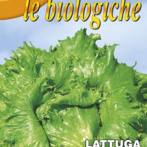 Franchi Organic BIOB86/8 Lettuce Regina Ghiacci 4000 Seeds