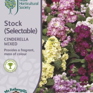 Mr Fothergills RHS Stock Cinderella Series Mixed 50 Seeds