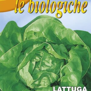 Franchi Organic BIOB79/2 Lettuce Meraviglia D'Inverno Seeds