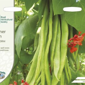 Mr Fothergills RHS Runner Bean Firestorm 40 Seeds