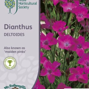 Mr Fothergills RHS Dianthus Deltoides 200 Seeds