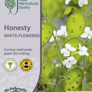 Mr Fothergills RHS Honesty White-Flowered 100 Seeds