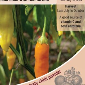 Kings Seeds  Pepper Chilli Havana Gold Seeds