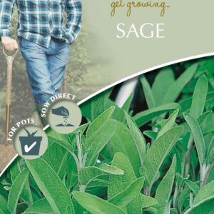 Mr Fothergills - Herb - David Domoney Sage - 75 Seeds