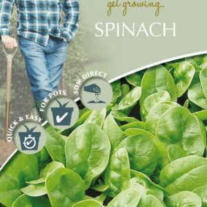Mr Fothergills - David Domoney - Vegetable - Spinach - Emilia F1 - 300 Seeds