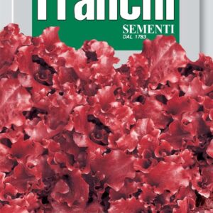 Franchi Seeds of Italy Lettuce Rossa A Foglia Riccia Da Taglio Seeds