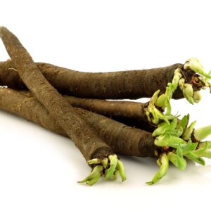 Scorzonera Black Salsify Duplex Seeds