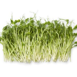 Suffolk Herbs Pea Shoots Serge Seeds