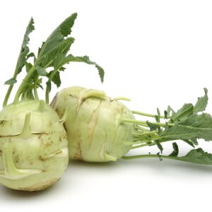 Kohl Rabi Superschmelz Seeds