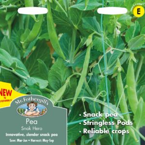 Mr Fothergills - Vegetable - Pea - Snak Hero (Snap) - 150 Seeds