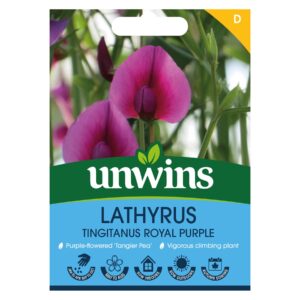 Unwins Flower Lathyrus Royal Purple - 21 Seeds