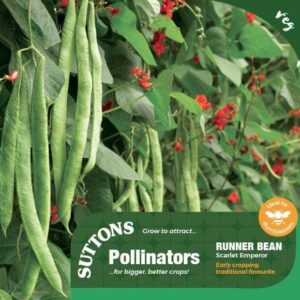 Sutton Seeds - Bean (Runner) Seeds - Scarlet Emperor