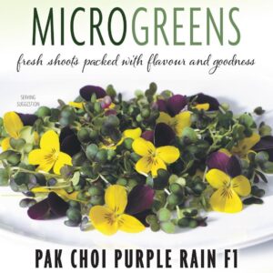 Thompson & Morgan Vegetable Microgreens Pak Choi Purple Rain F1  - 250 Seeds