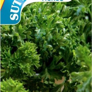Sutton Seeds - Parsley Seeds - Grune Perle
