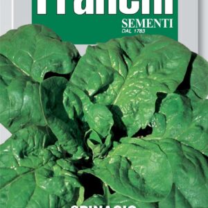 Franchi Seeds of Italy Spinach Gigante De Invierno Seeds