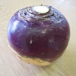 Swede Best of All Seeds