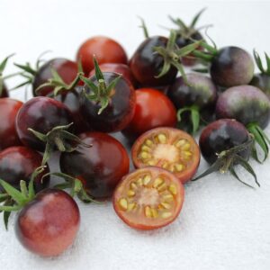 Tomato Indigo Blue Berries Seeds