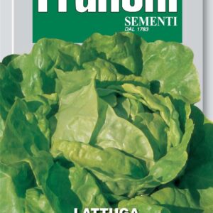 Franchi Seeds of Italy - DBO 79/19 - Lettuce - St. Anna - Seeds