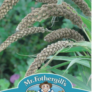Mr Fothergills Millet (Foxtail) Hylander Seeds