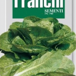 Franchi Seeds of Italy Lettuce Little Gem Seeds