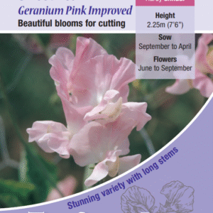 Kings Seeds Sweet Pea Geranium Pink Improved 20 Seeds