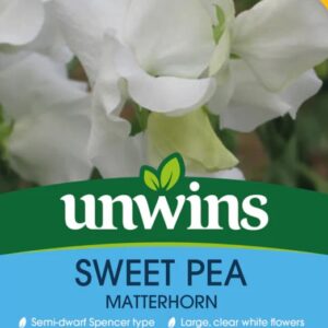 Unwins Flower Sweet Pea Matterhorn - 11 Seeds