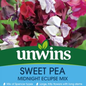 Unwins Flower Sweet Pea Midnight Eclipse Mix - 21 Seeds