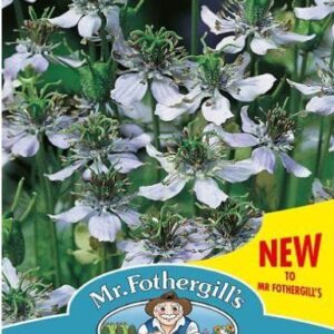 Mr Fothergills - Flower - Nigella Black Caraway - 700 Seeds