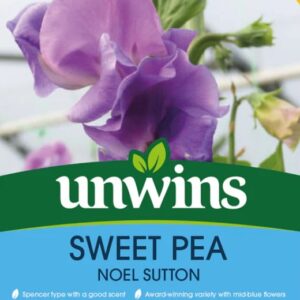 Unwins Flower Sweet Pea Noel Sutton - 21 Seeds