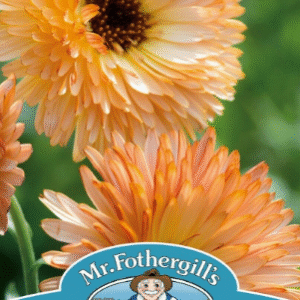 Mr Fothergills Edible Flower Calendula Orange Flash Seeds