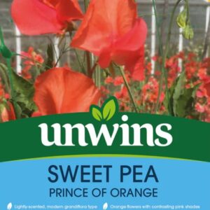Unwins Flower Sweet Pea Prince Of Orange - 11 Seeds