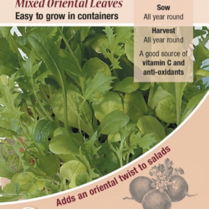 Kings Seeds Salad Leaf Mixed Oriental Leaves 200 Seeds
