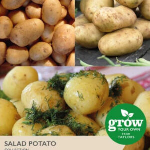 Taylors Seed Salad Potatoes - 3 Types