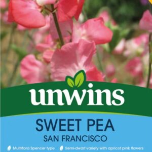 Unwins Flower Sweet Pea San Francisco - 11 Seeds