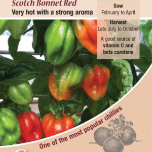 Kings Seeds Chilli Pepper Scotch Bonnet Red Seeds
