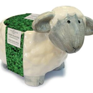 Taylors - Gift - Herb - Novelty Sheep Mini Mint - Ceramic Planter Seed Kit